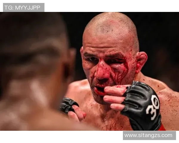 UFC无限制格斗赛新王登基引发格斗界新变革与挑战